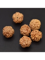 Плоды Рудракши! Натуральные! форма бусин - шар 7мм