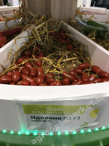 Идолини F1 семена томата индетерминантного (Rijk Zwaan / Райк Цваан) продукт – фото 9