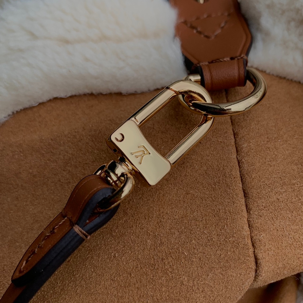 Louis Vuitton CarryAll PM