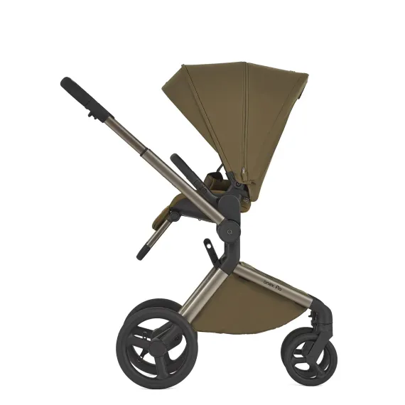 Коляска ANEX Flo 2 в 1 Astra