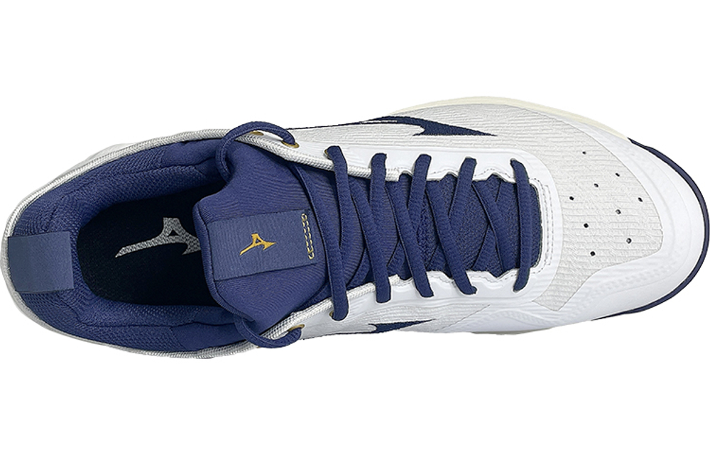 Mizuno Wave Luminous 2 "White Navy"