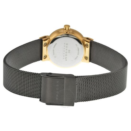 Женские часы Skagen 358XSRM