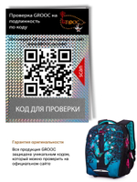 Ранец GROOC 7mini-026 + пенал + мешок + сумка-пенал