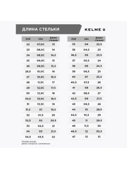 Футзальная Обувь INDOOR COPA