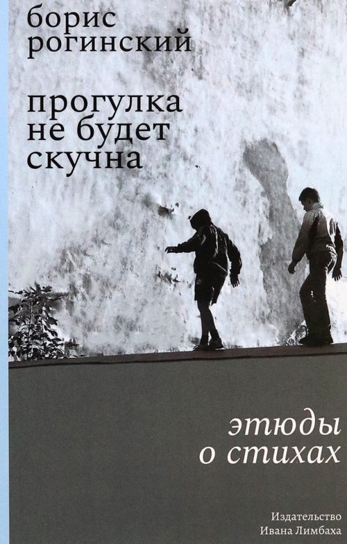 Прогулка не будет скучна: Этюды о стихах