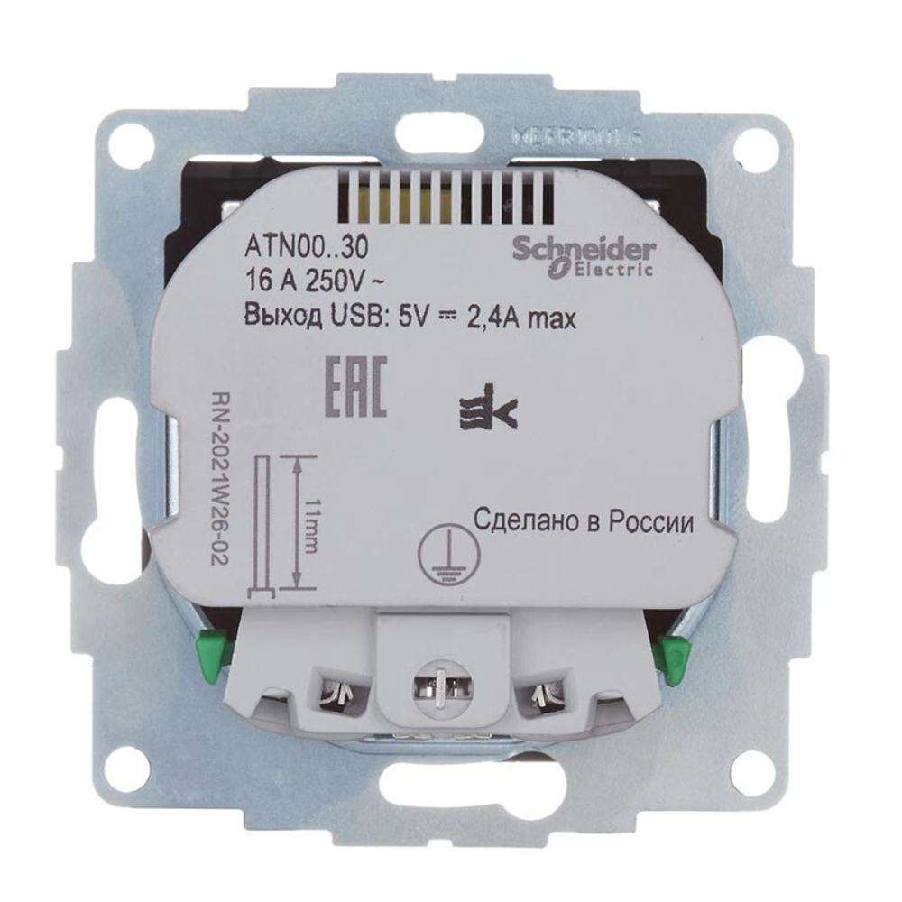 Розетка с заземлением с 2 USB  Systeme Electric ATN000930