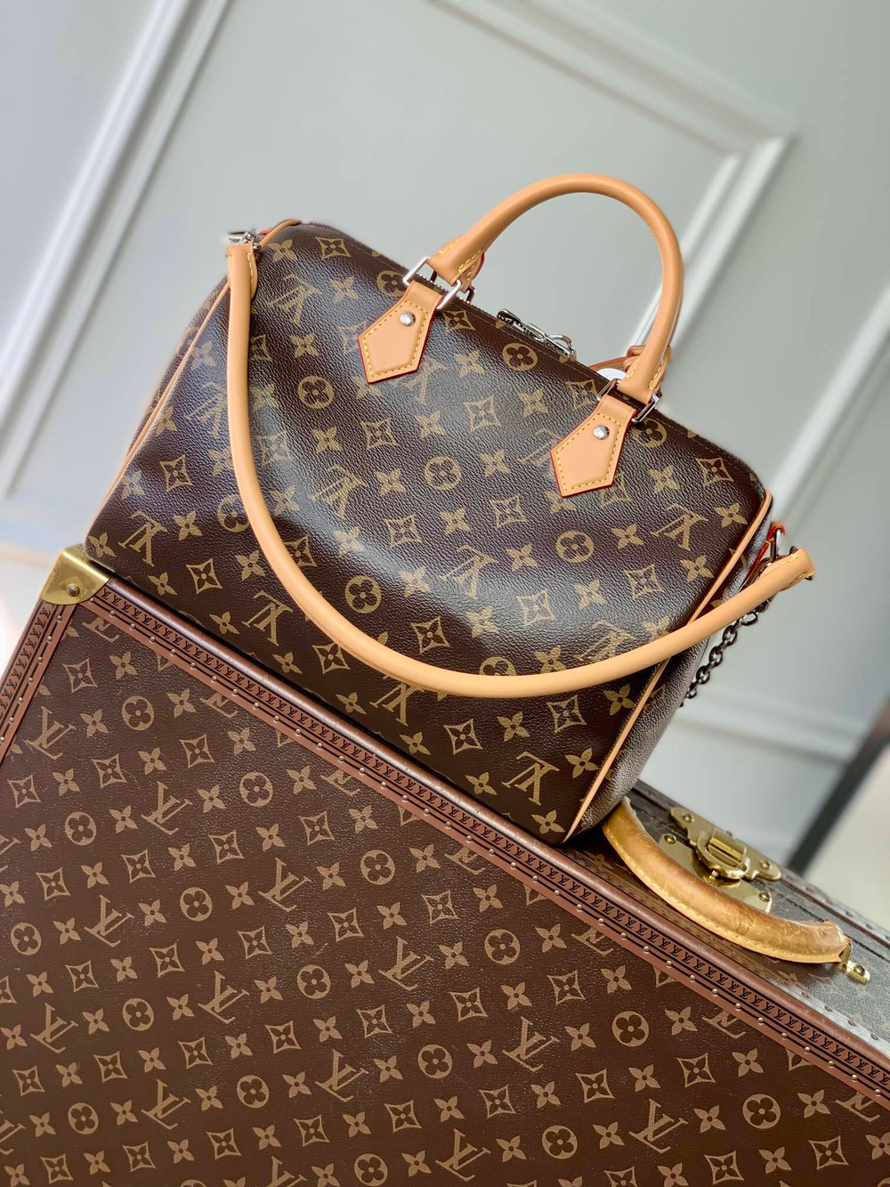 Louis Vuitton Speedy Soft 30 Crafty