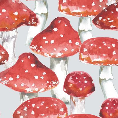 Акварельные Мухоморы