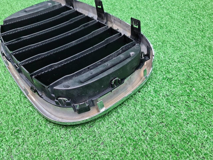 Решетка радиатора левая BMW X3 G01 X4 G02 (17-21)