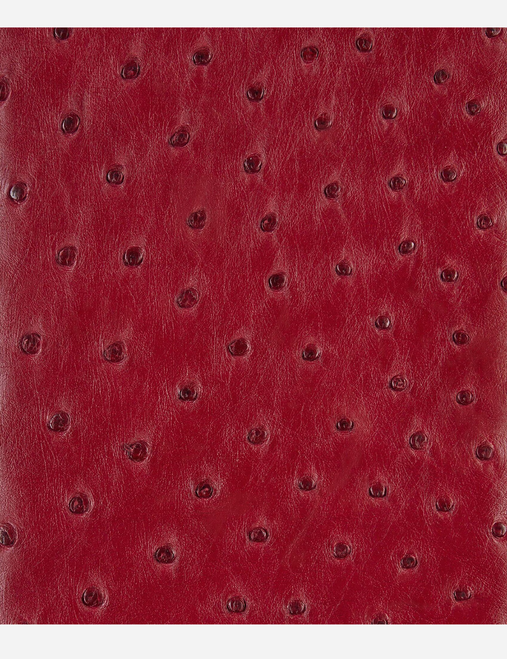 Клатч Bottega Veneta Andiamo Ostrich Dark red (805241V3RQ36321)