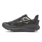 Кроссовки мужские Hoka Challenger 8