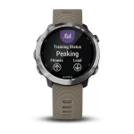 Часы для бега Garmin Forerunner 645, с песочным ремешком, 010-01863-11