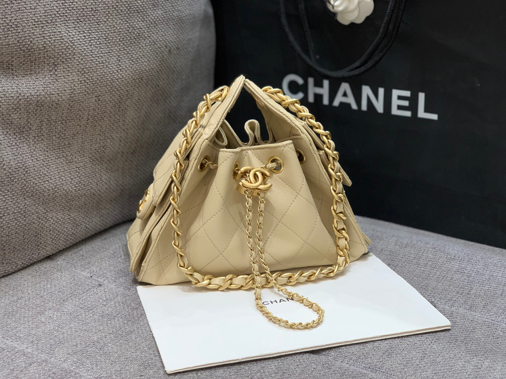 Chanel 25 Mini Handbag 22 cm