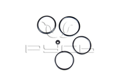 Р/к гидроцилиндра РСМ-10.09.01.010 (Вариатора барабана) Дон, Акрос, Палессе (Русь)