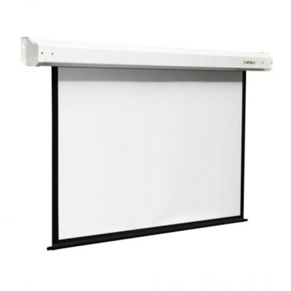 Экран для проектора Digis Electra-Pro DSEP-16901
