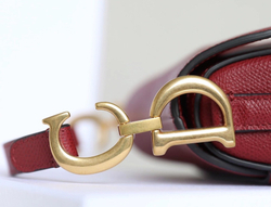 Christian Dior Saddle Bag 21 cm
