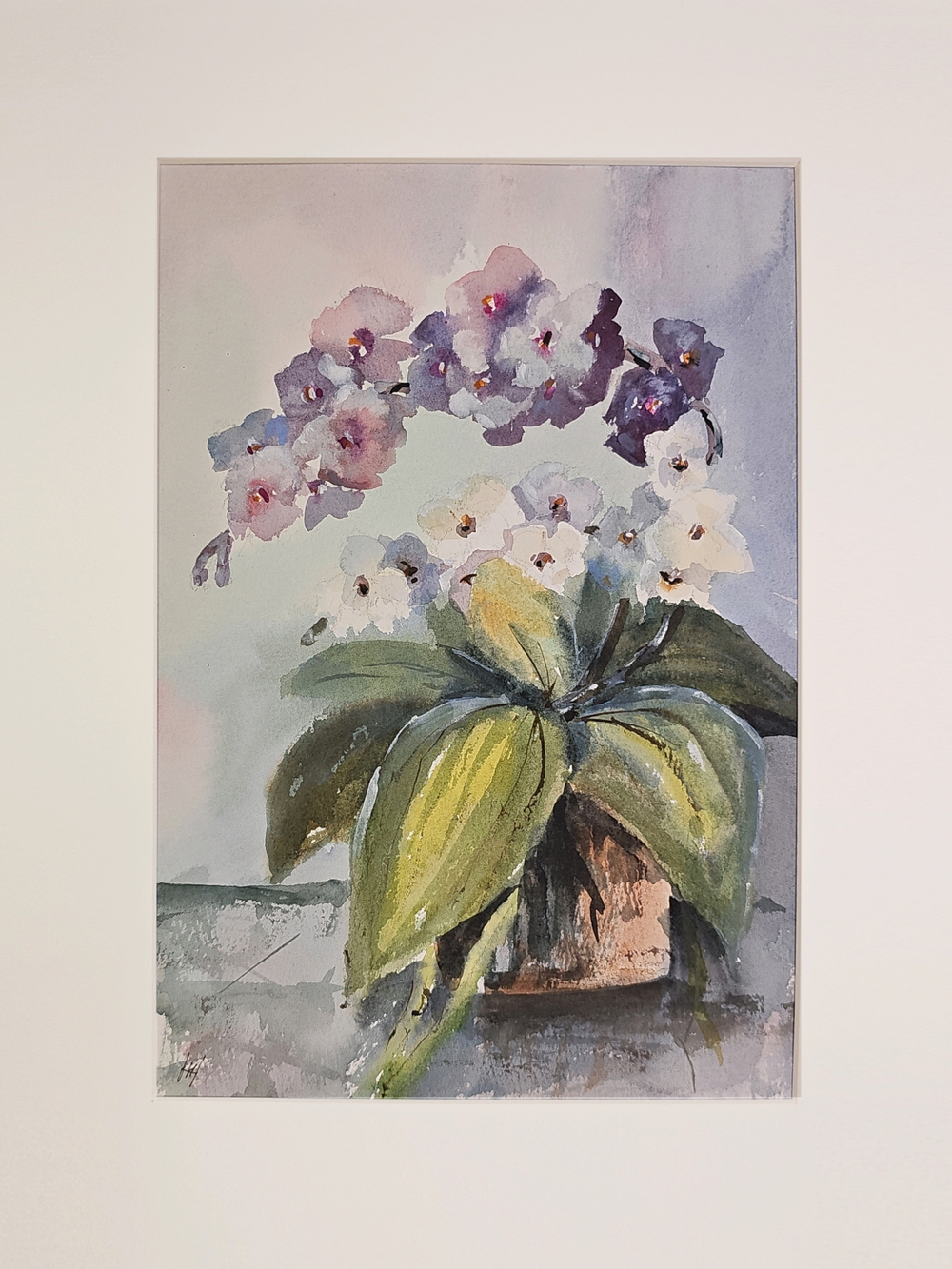 Картина авторская акварельная в паспарту 30х40 см на стену для интерьера "Фаленопсис"