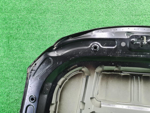 Капот Geely Tugella (2019-2024)