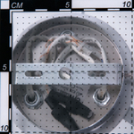 Citilux Кристи CL152137 Люстра потолочная Алюминий Хром