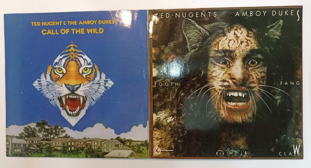 Винтажная виниловая пластинка Ted Nugent 2 Originals Of Ted Nugent 2LP (Germany 1977)