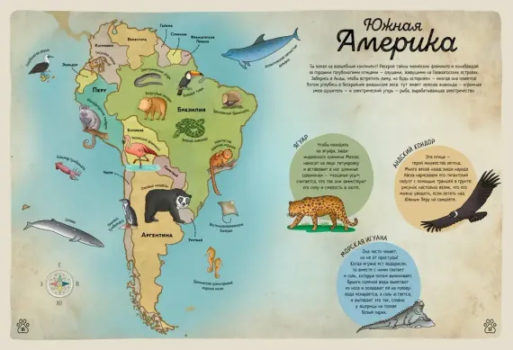 Гигантский атлас животных мира