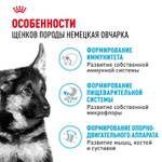 Royal Canin German Shepherd Puppy Корм сухой для щенков породы Немецкая овчарка до 15 месяцев 3 кг