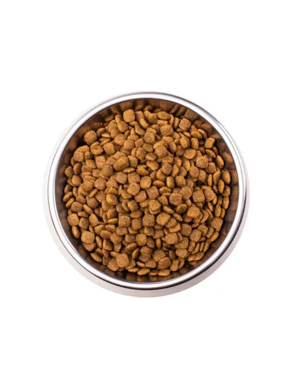 Monge VetSolution Cat Urinary Oxalate ( Монж Уринари Оксалат) для кошек при заболеваниях мочеполовой системы и оксалатном течении МКБ 1,5 кг