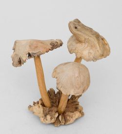 50-001 Статуэтка «Лягушка на грибе» 20 см