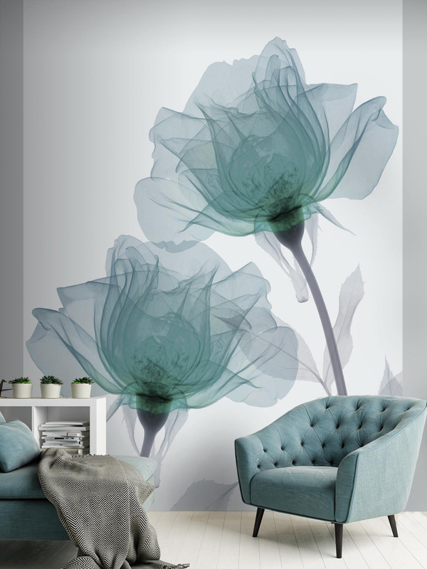 Голубые розы на сером фоне фотообои