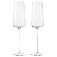 Набор бокалов для шампанского в подарочной упаковке sense, 360 мл, 2 шт.