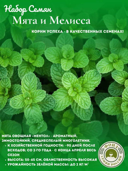 Набор трав Мята, Мелисса, семена 0,14 гр. 2 пачки