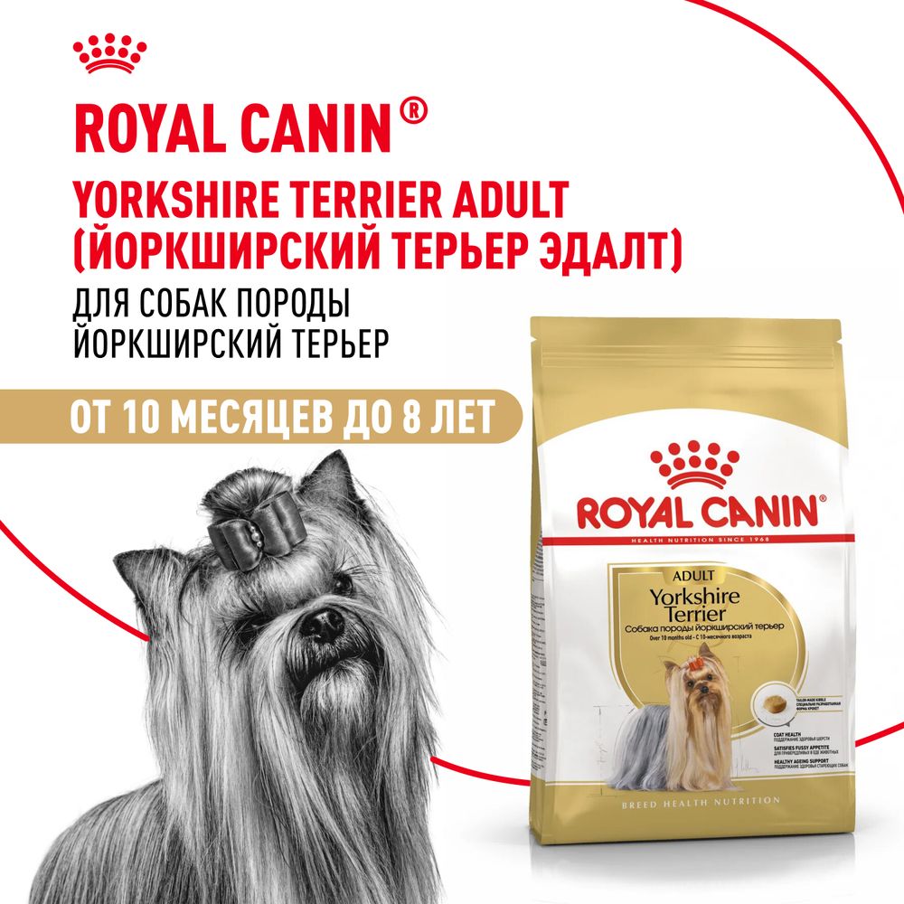 Сухой корм Royal Canin Yorkshire Terrier Adult для взрослых собак породы Йоркширский Терьер от 10 месяцев