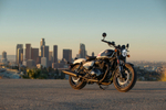 Royal Enfield Shotgun 650 Stencil White (Premium)
