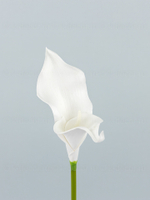 Каллы латекс БИГ