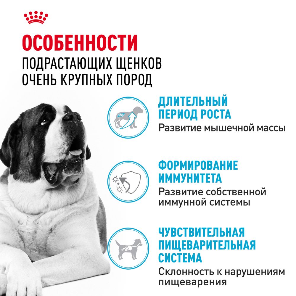 Сухой корм Royal Canin Giant Junior для щенков очень крупных пород в возрасте от 8 до 18/24 месяцев Сухой корм Royal Canin Giant Junior для щенков очень крупных пород в возрасте от 8 до 18/24 месяцев