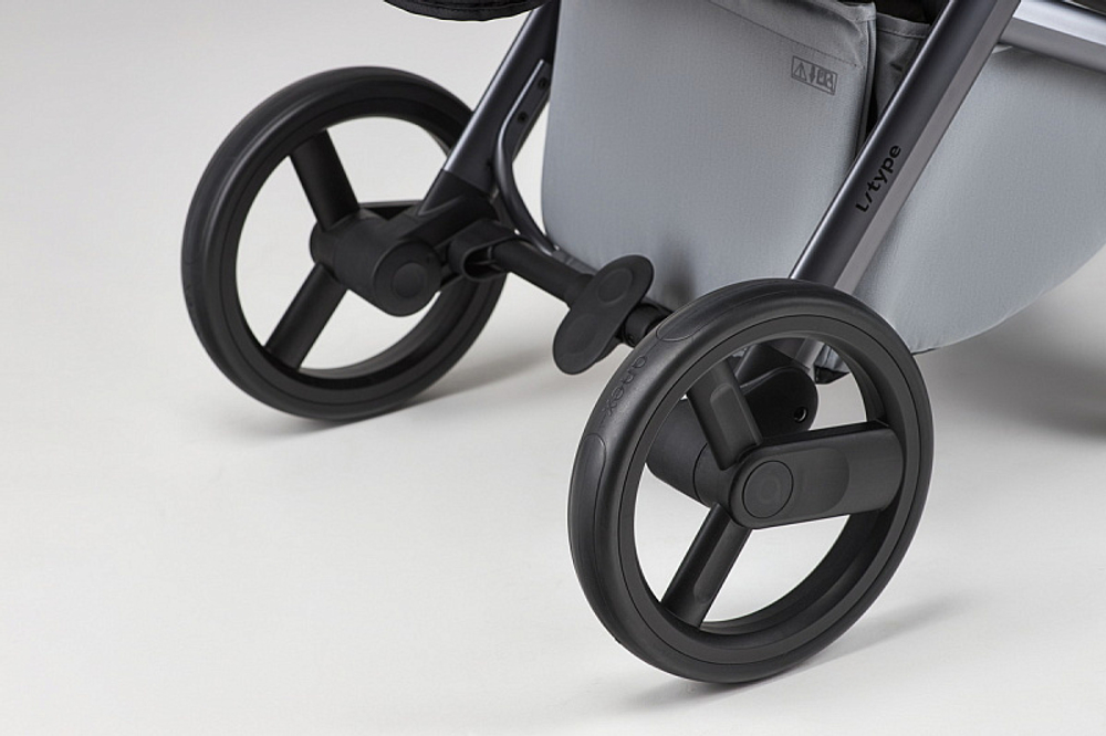 Детская коляска Anex l/type 2 в 1 lt-10t frost