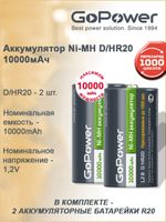 Аккумуляторная батарея GoPower R20 D 10000mAh   1/6/48