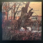 Black Sabbath ‎– Black Sabbath (Англия 1970г.)