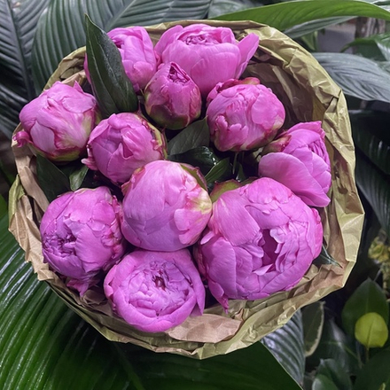 🌸♛ Александр Флеминг (Dr. Alexander Fleming) — букет ароматных пионов — 8 марта у Феи