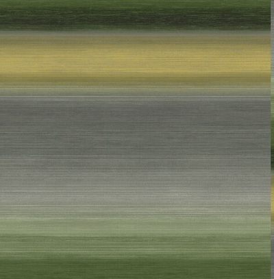 Обои Carl Robinson Edition 14 61504 CR