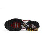 Мужские кроссовки Nike AIR MAX PLUS