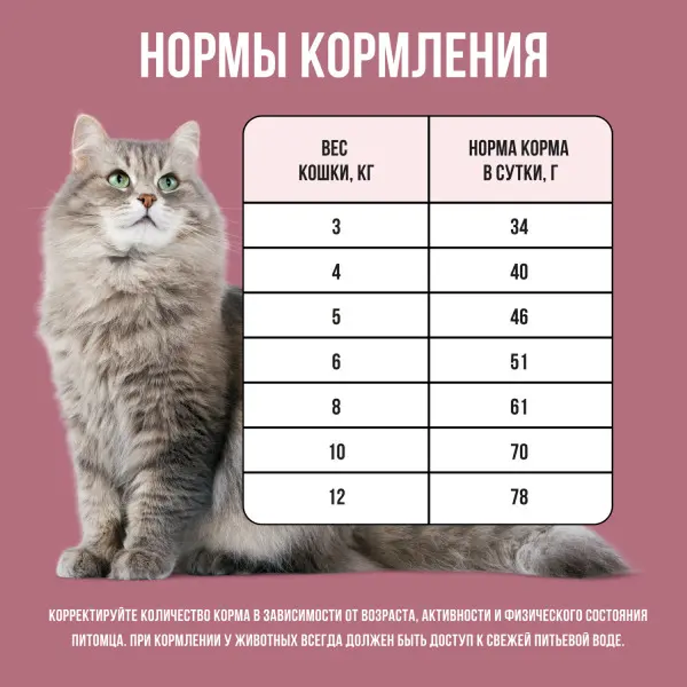 Bowl wow корм сухой для взрослых стерилизованных кошек: индейка, курица, свекла
