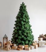 ель "Рублевская" сосна (леска распушенная)