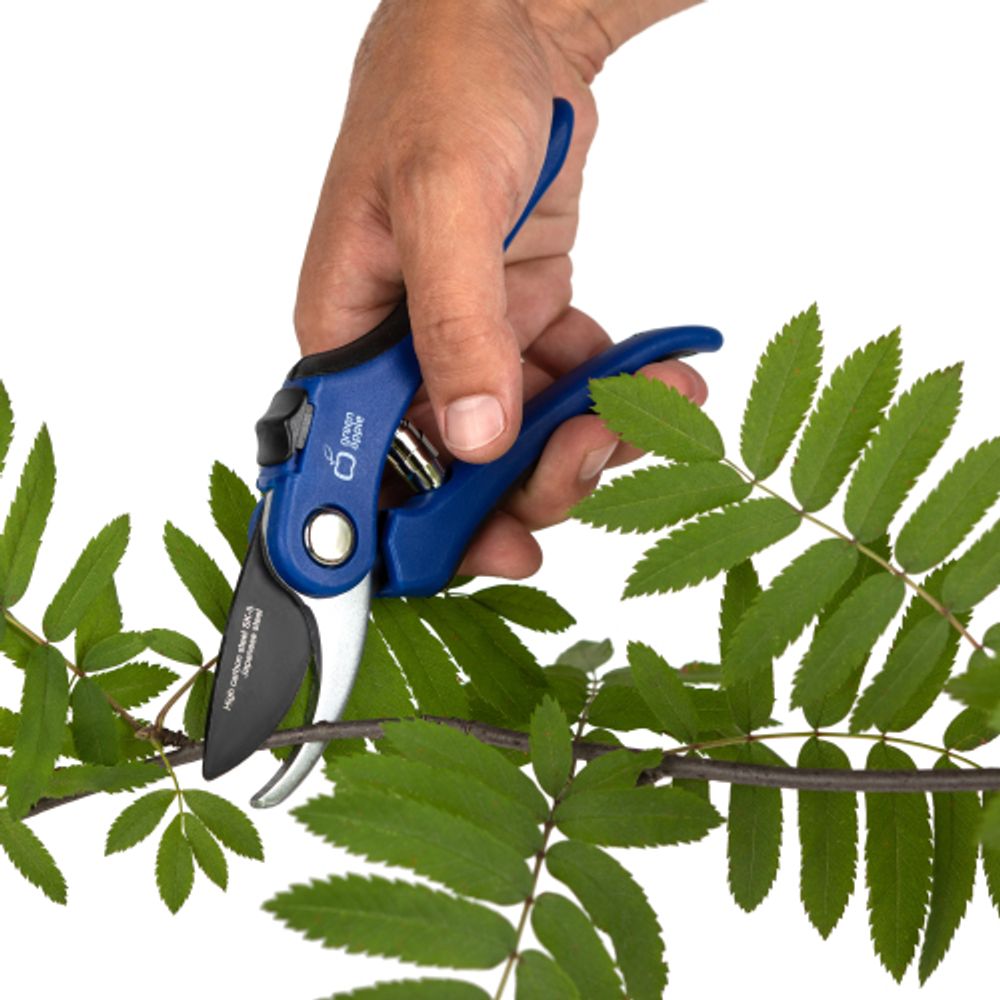 Секатор GREEN APPLE GASP10-60 садовый для дачи плоскостной