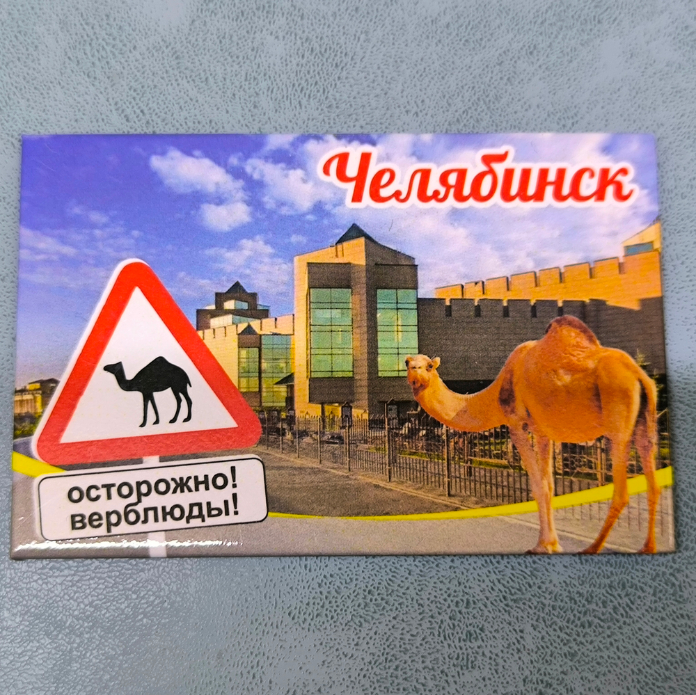 Магнит Челябинск Осторожно! Верблюды! закатной 80*53 мм №0096
