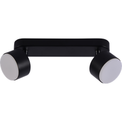 Светильник настенно-потолочный спот Rivoli Alesta 7079-702 2хGX53 15 Вт поворотный | Rivoli