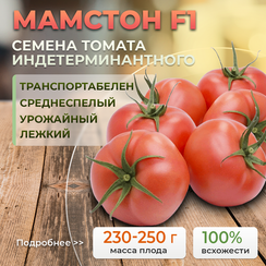 МАМСТОН F1 семена томата (Syngenta | Alexagro)