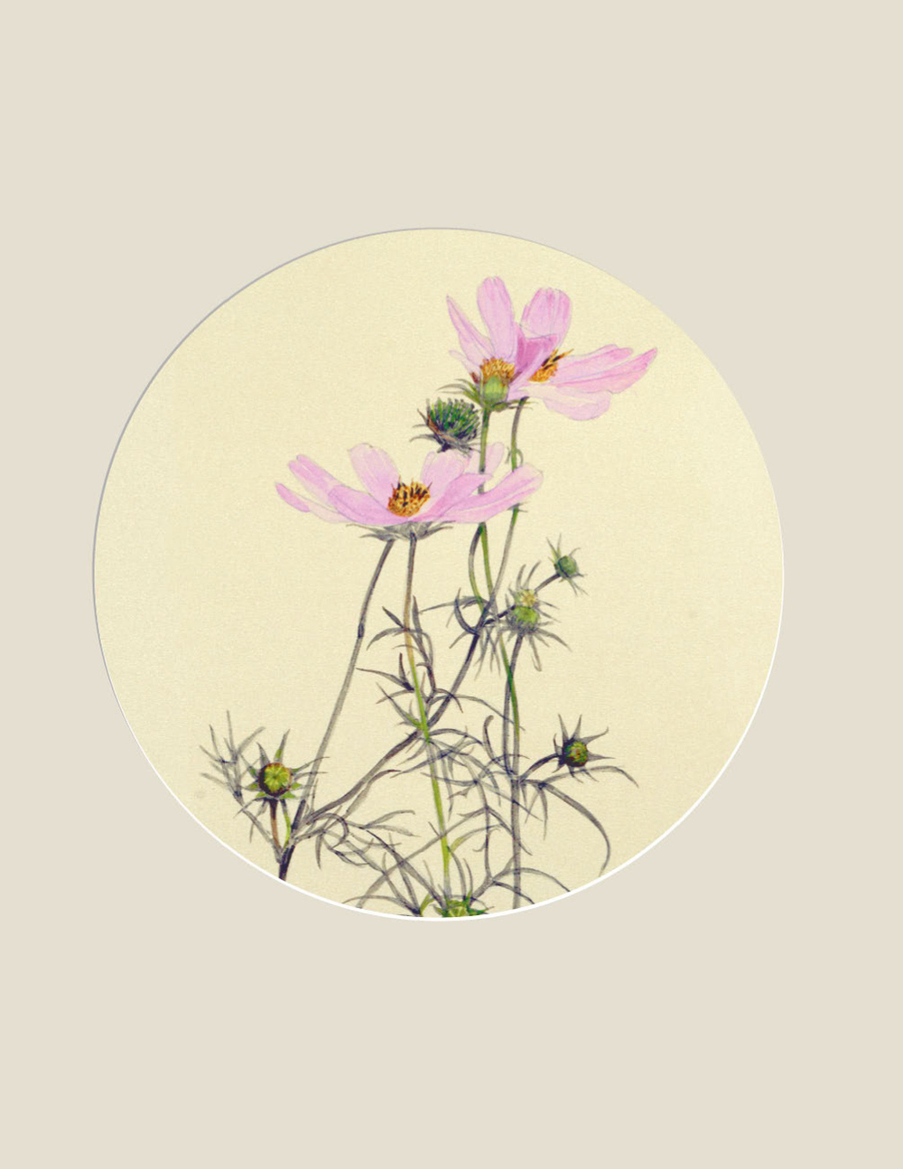 Мир в капле дождя