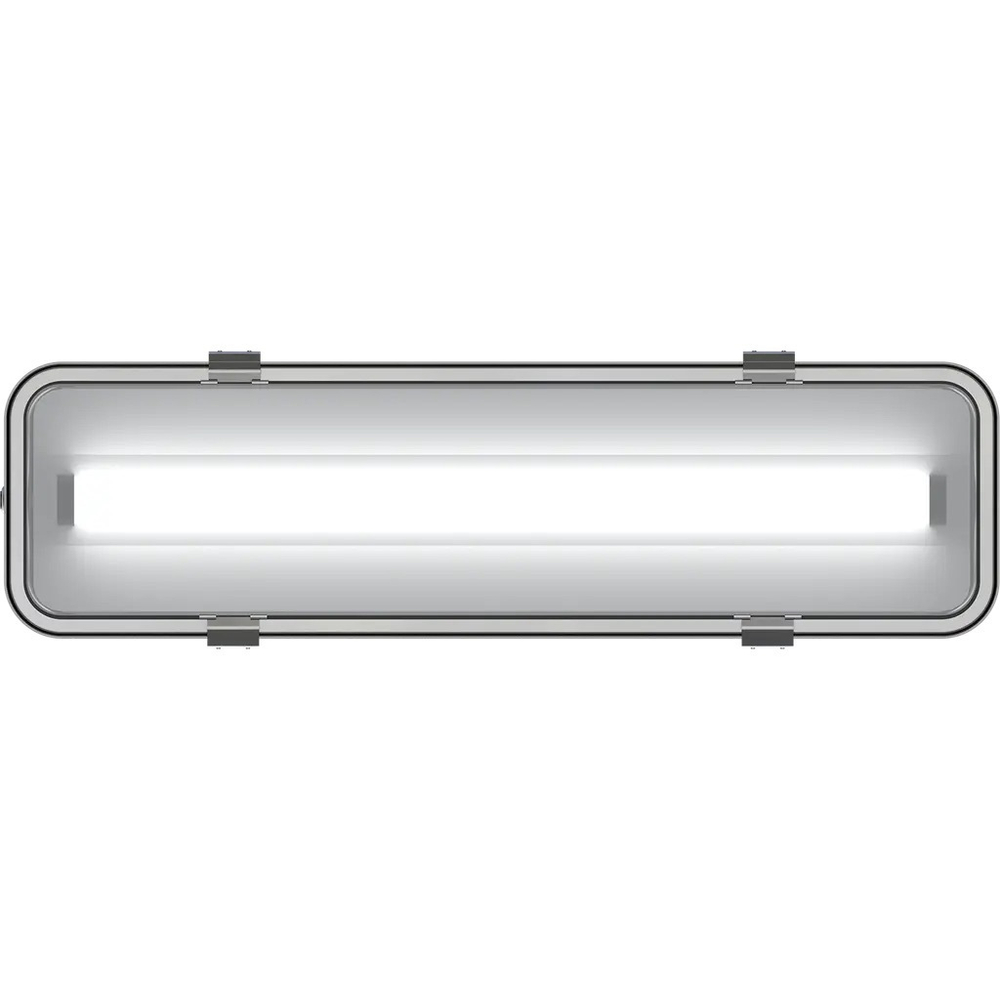 Светильник LED INOX LED 30 5000K СТ