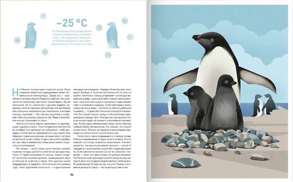 Кто как строит? В гостях у диких животных